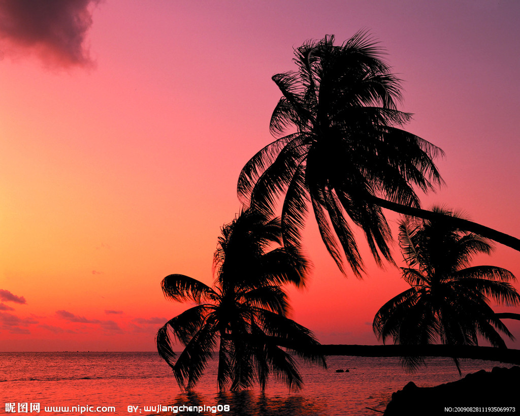 【原野、夕阳、树影摄影图片】风光摄影_一路顺风889_太平洋电脑网摄影部落