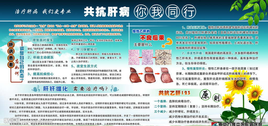 肝病醫(yī)院科普知識展板 共抗肝病你我同行