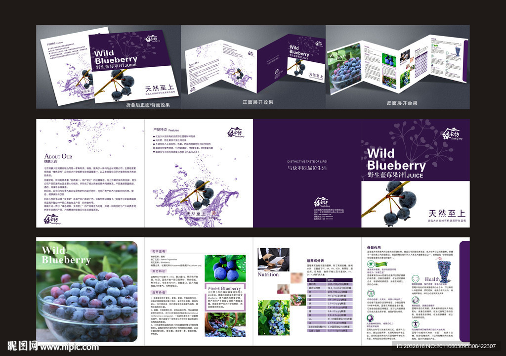 蓝莓宣传画册