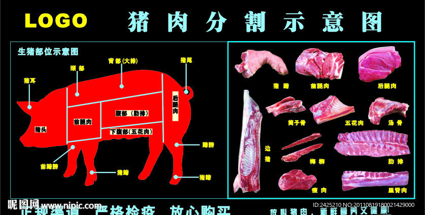 猪肉分割图