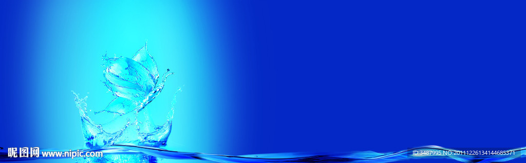 水 蝴蝶