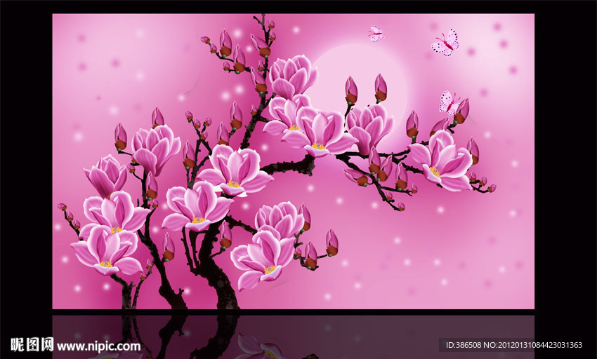 玉蘭花