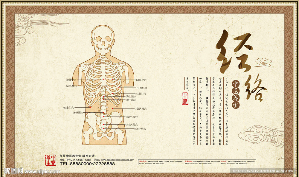 中医养生经络