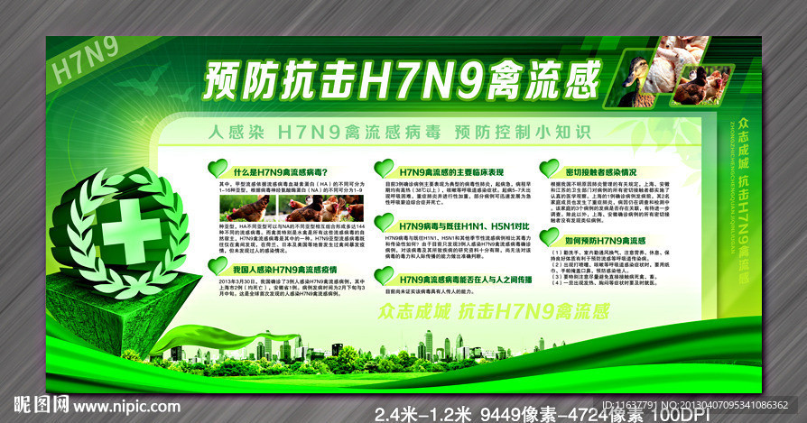 H7N9展板