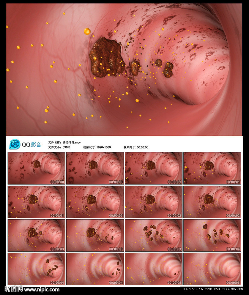 腸道排毒