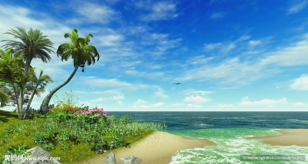夏日椰島視頻