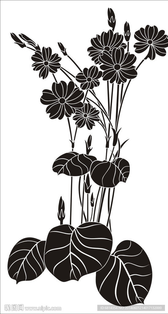 水仙花 花草簡圖