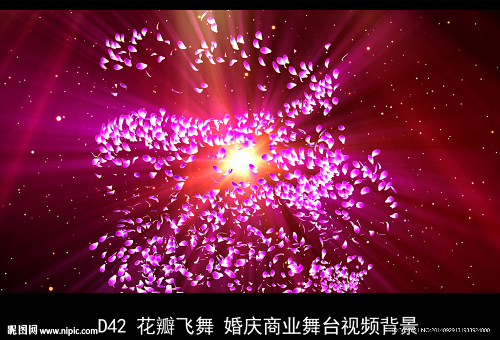 紫色花瓣起舞婚慶商業(yè)