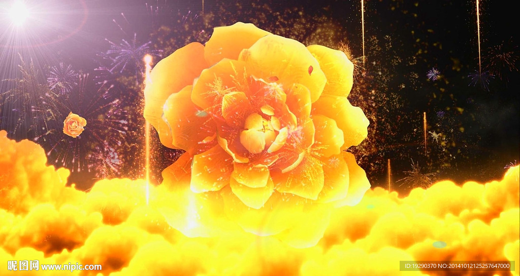 高清富貴牡丹花開舞臺