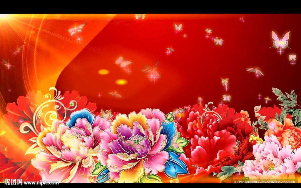 蝴蝶花中飛舞