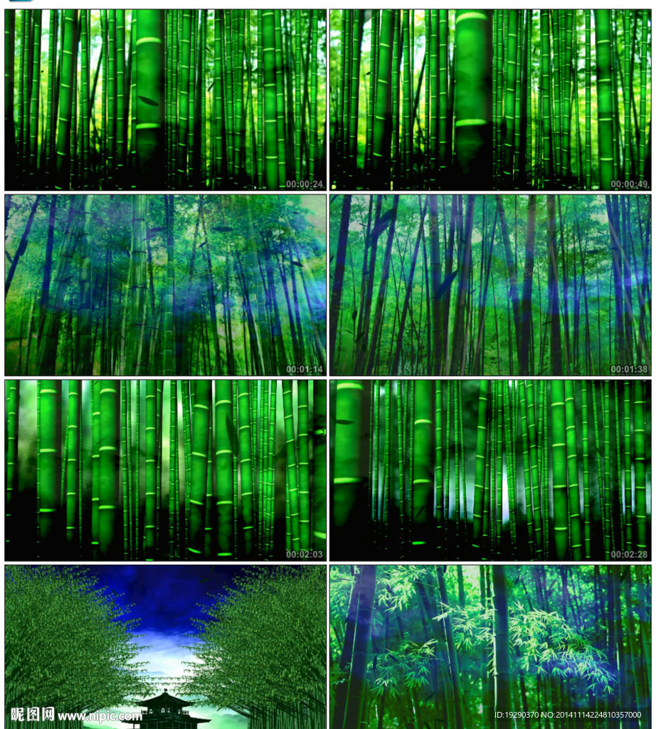 竹林深處