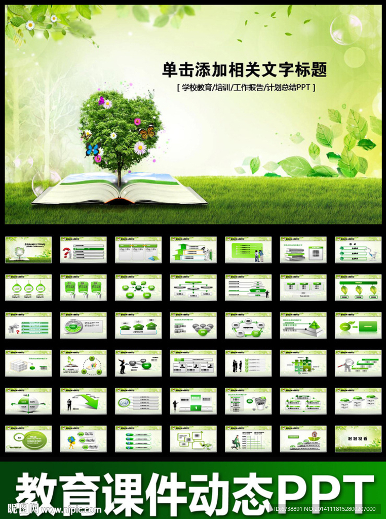 綠色學校課件培訓動態