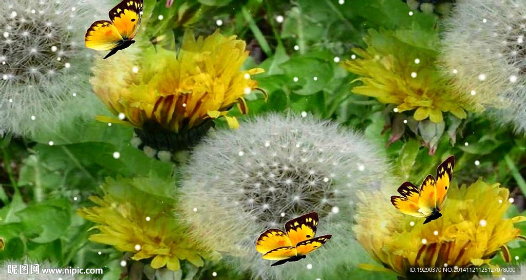 春的氣息