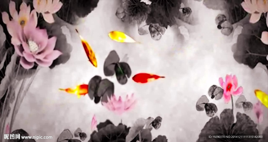 水墨荷花鯉魚(yú)