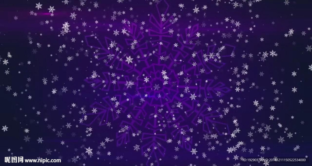 梅花傲立