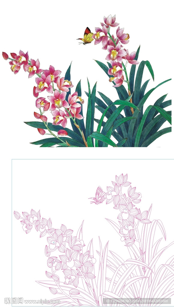 蘭花
