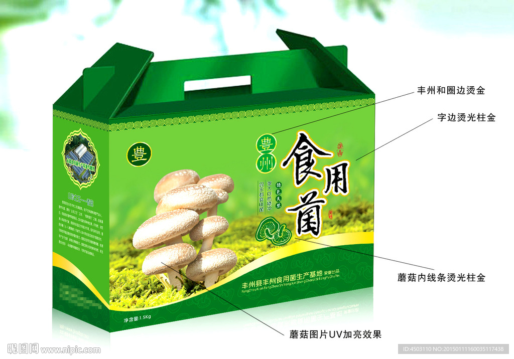 香菇食用菌礼盒（平面图）