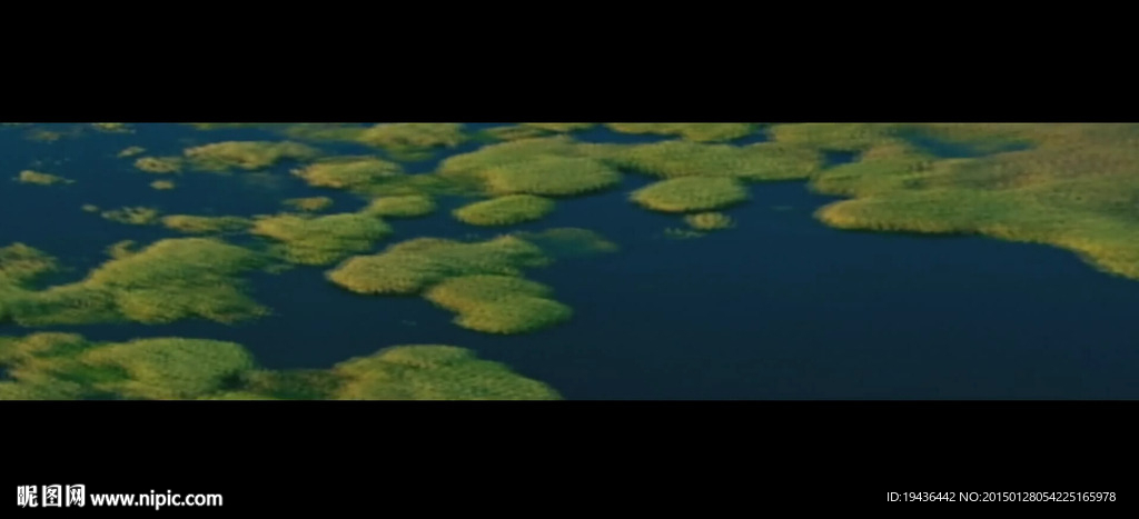 鶴舞動態背景