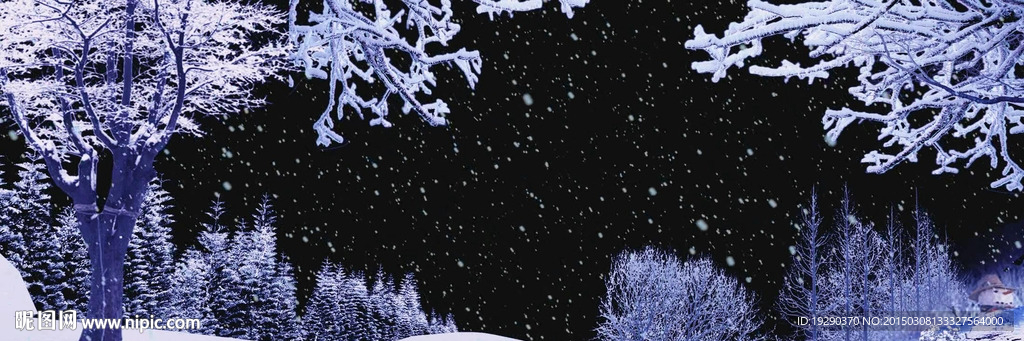 冰松樹雪地松雪花