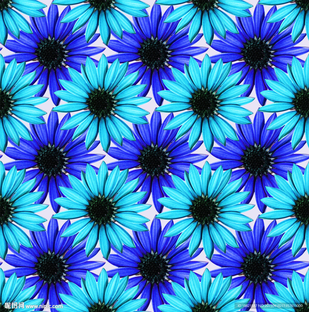 花回花卉