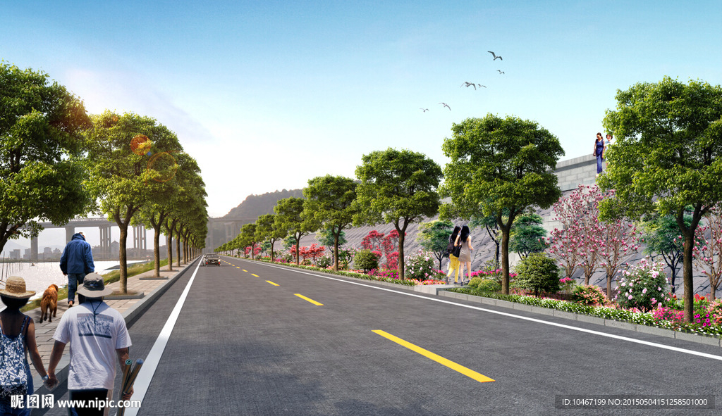 道路景觀