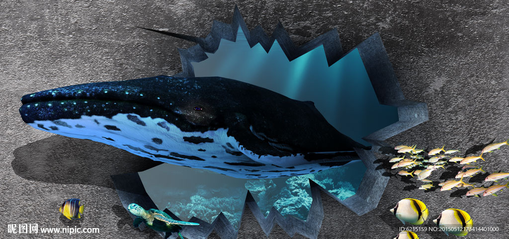 3D立体鲸鱼海洋画