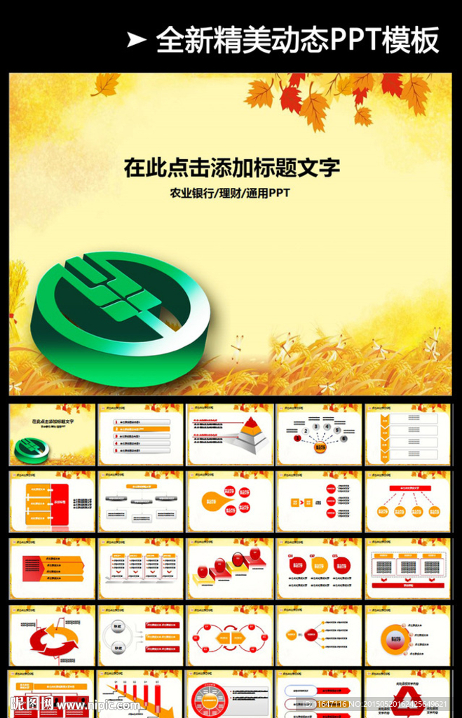 中國農(nóng)業(yè)銀行金融理財PPT