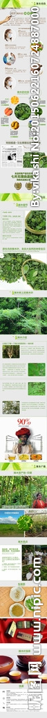 淘寶辣木詳情頁(yè)模版