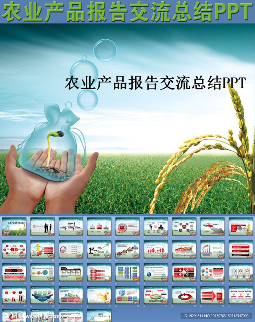農業產品報告交流總結PPT