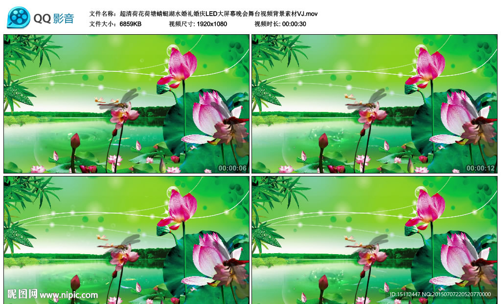 超清荷花荷塘蜻蜓湖水婚禮婚慶