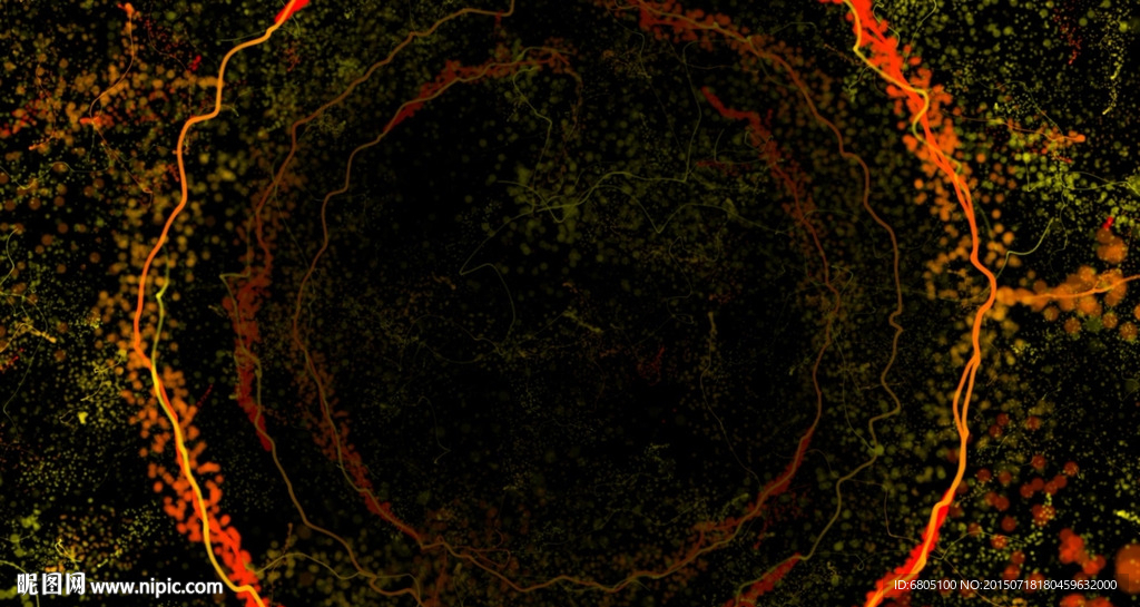 粒子特效