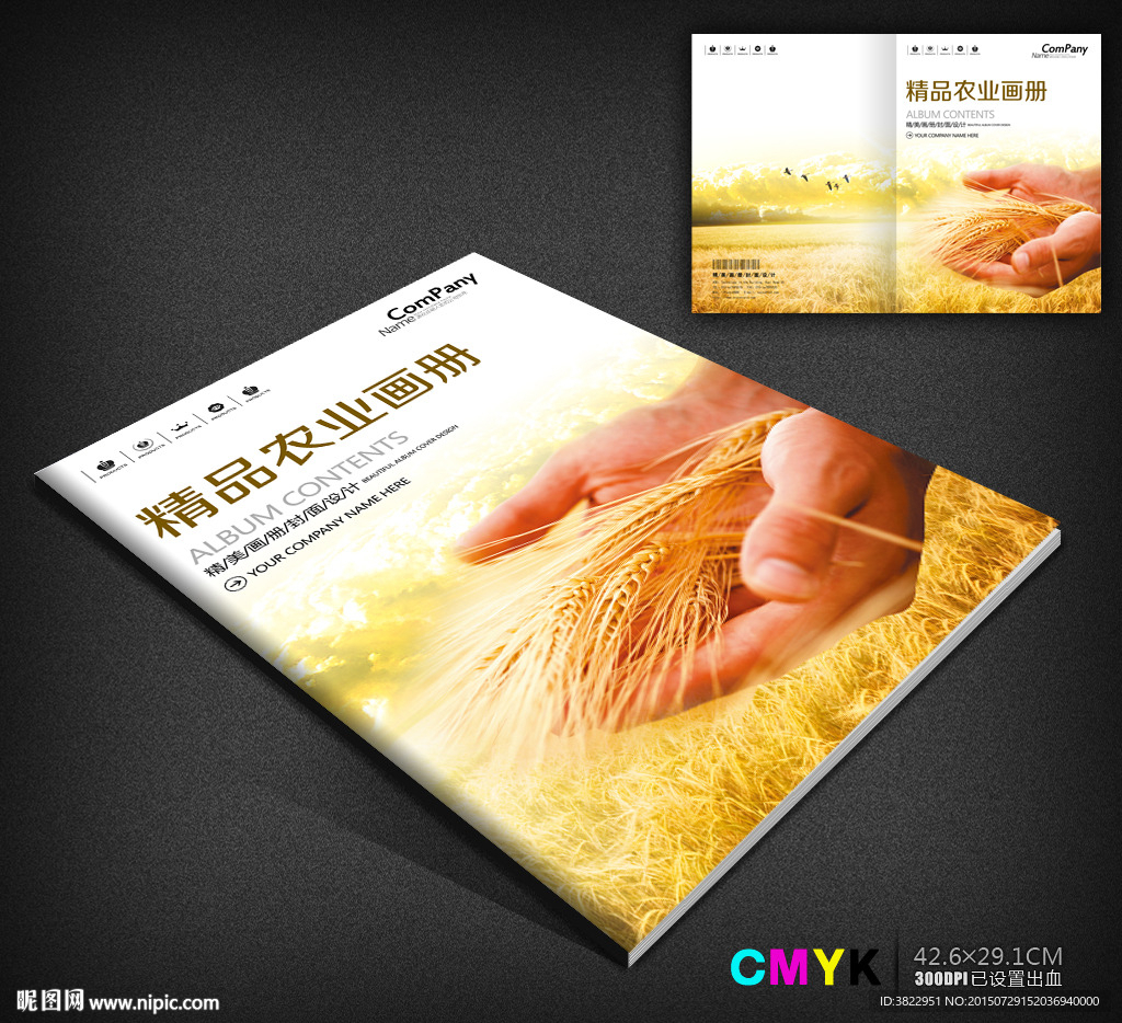 小麦丰收农产品画册封面