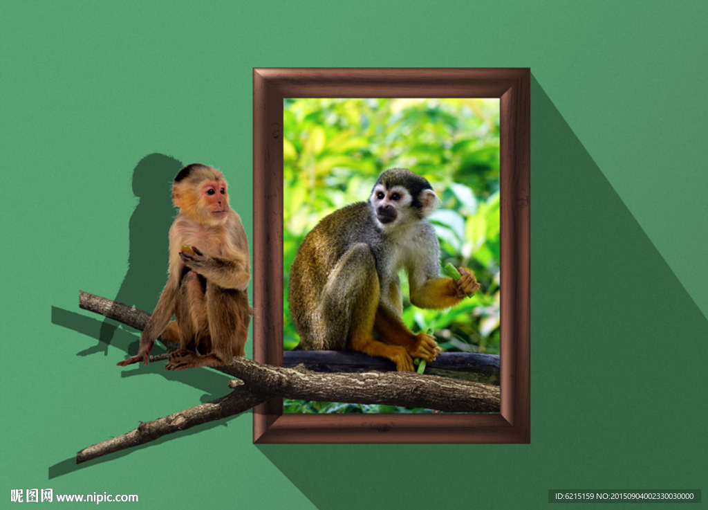 猴子3D立体画