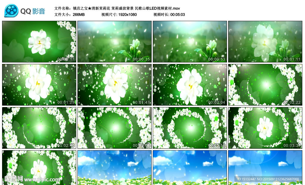 茉莉盛放背景民歌山歌LED視頻