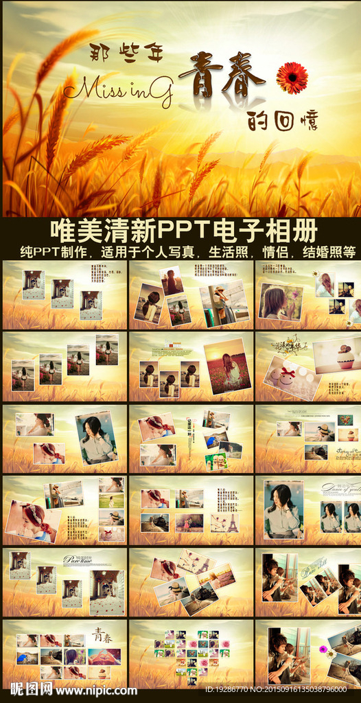 致青春ppt