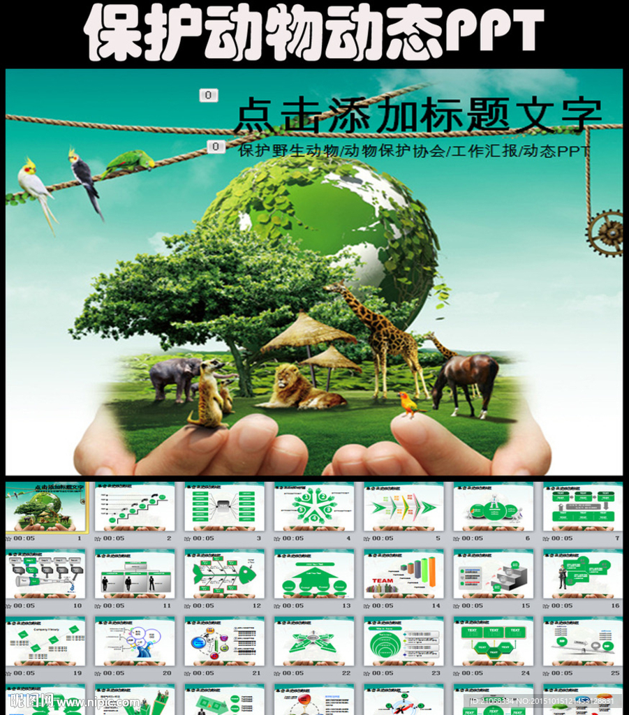 野生動(dòng)物保護(hù)協(xié)會(huì)動(dòng)態(tài)PPT