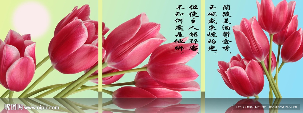 郁金香無框畫