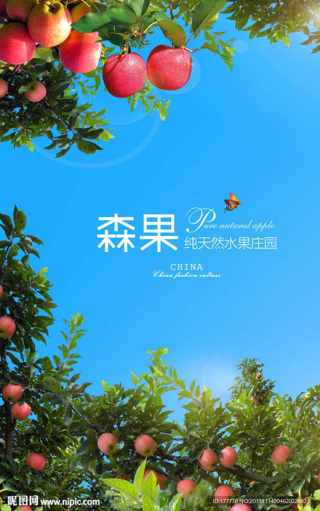 蘋果海報  蘋果包裝