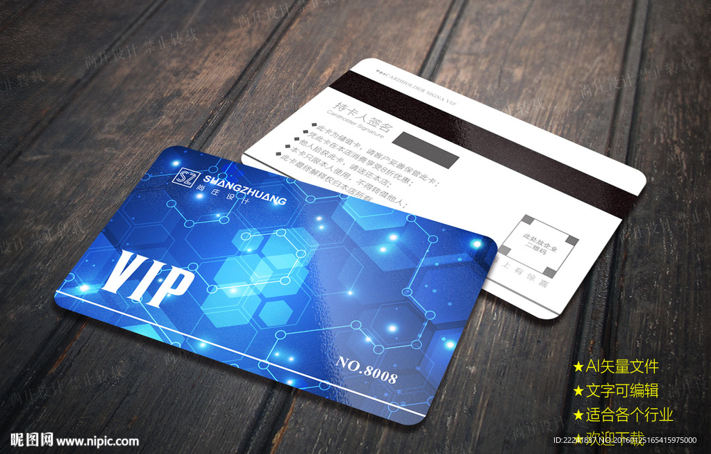 蓝色现代IT科技VIP会员卡