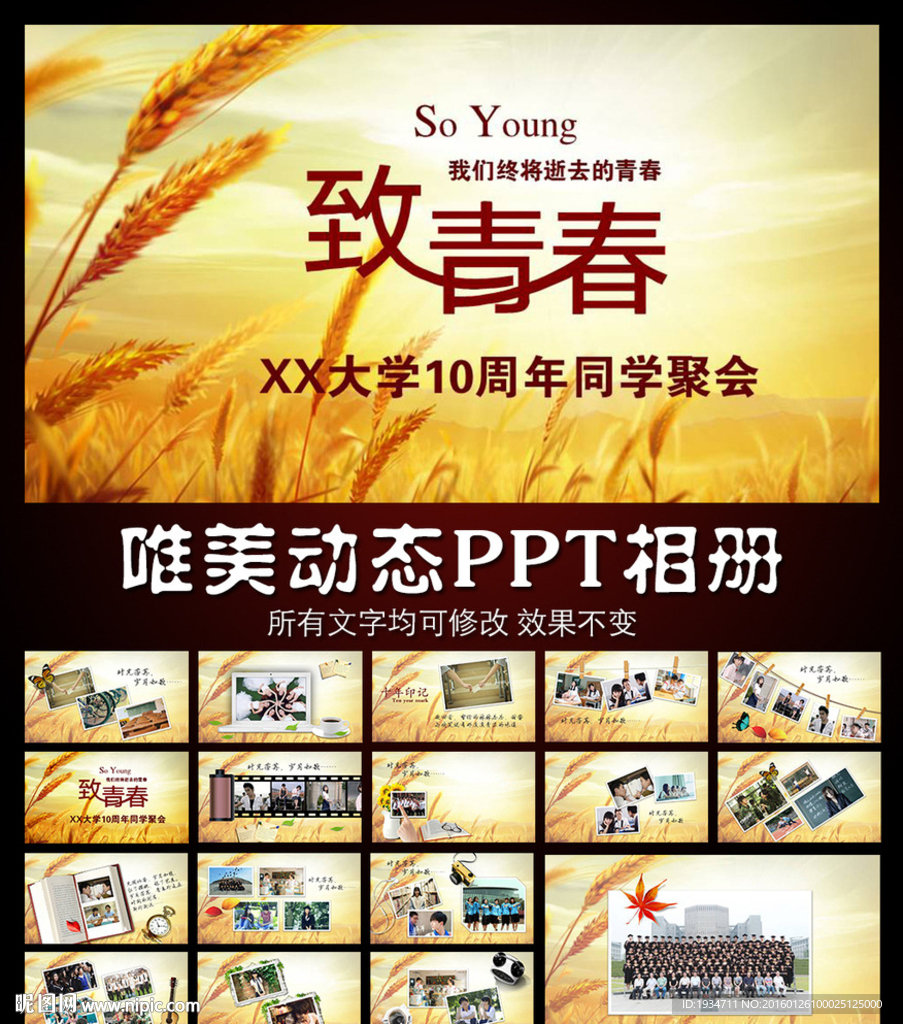 致青春動態PPT模板