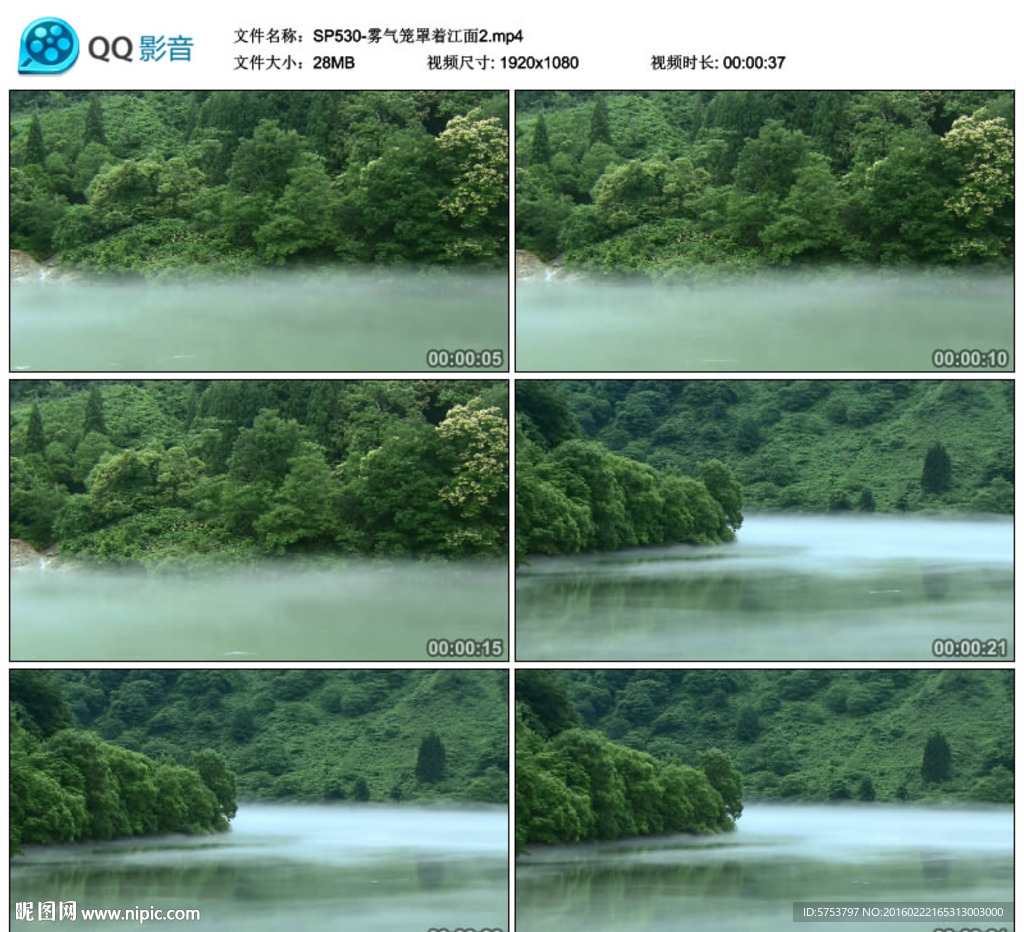霧氣籠罩著江面