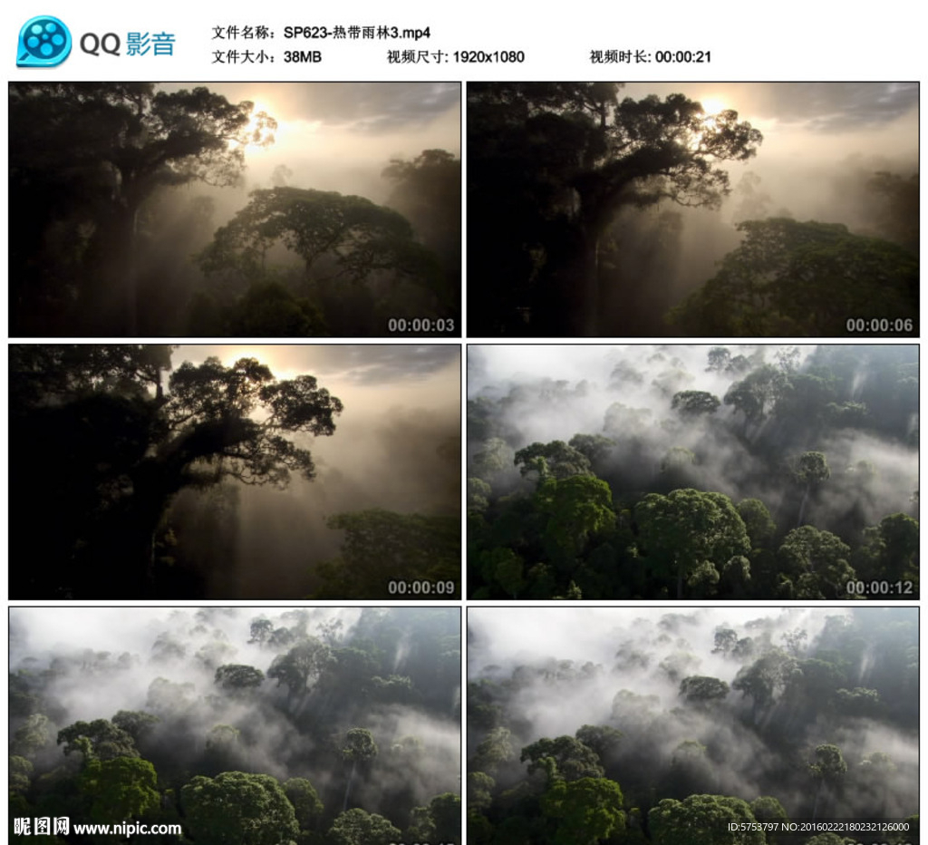 航拍森林熱帶雨林視頻