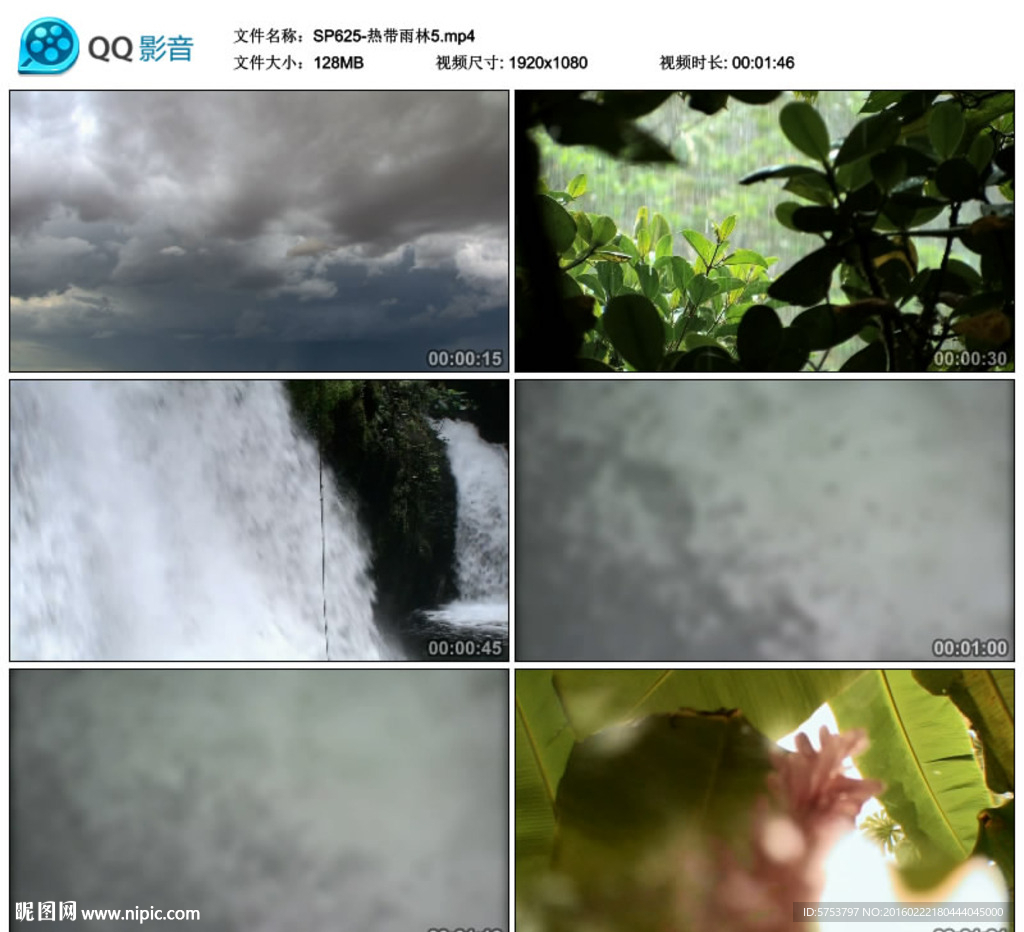 航拍森林熱帶雨林視頻