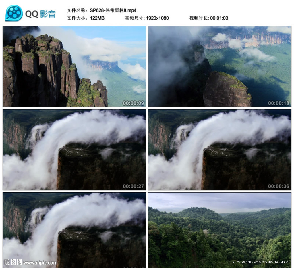航拍森林熱帶雨林視頻