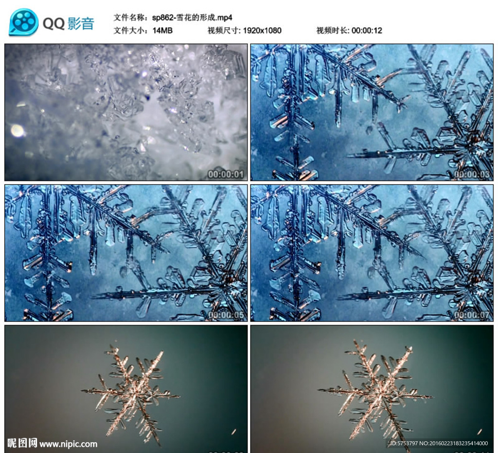 雪景雪花的形成特寫