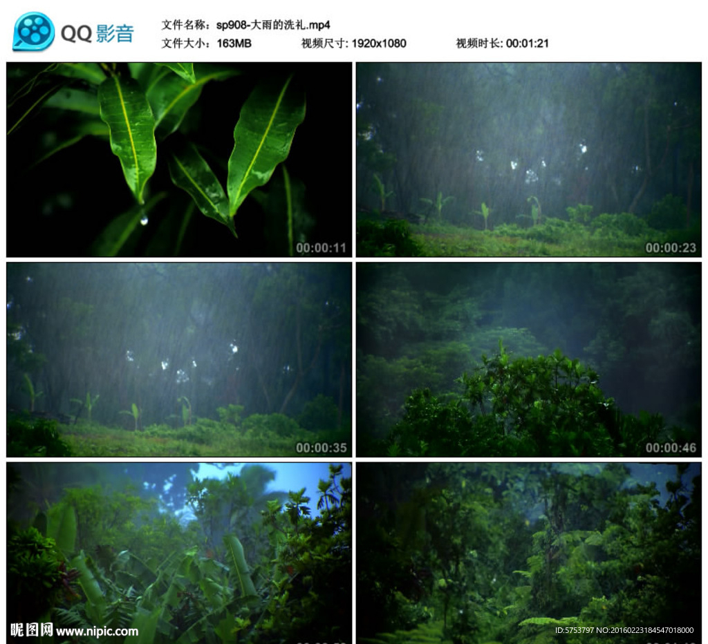 大雨的洗禮