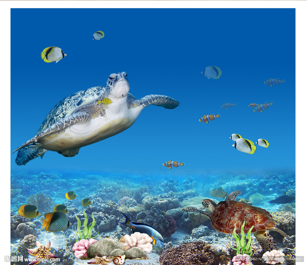 3D大海龟海底世界