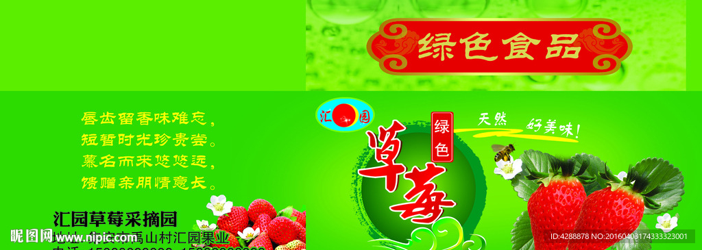 草莓包裝箱