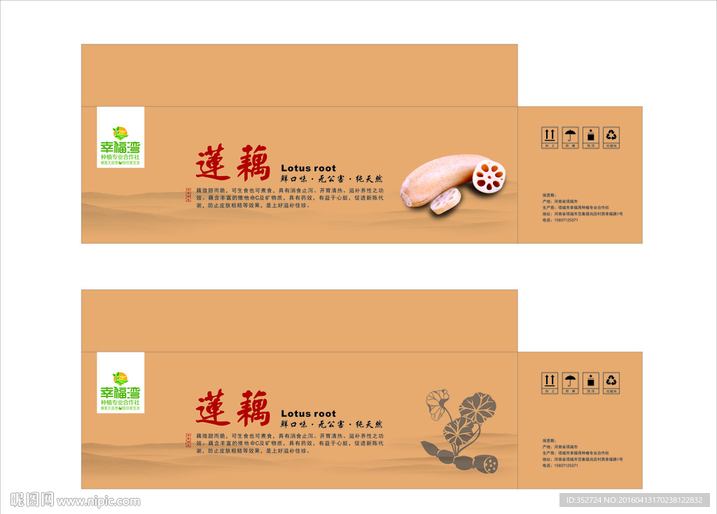 蓮藕包裝箱