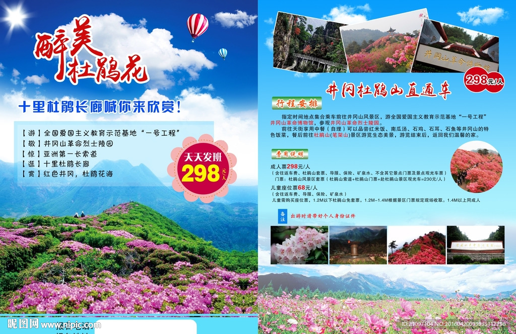 杜鵑花單頁
